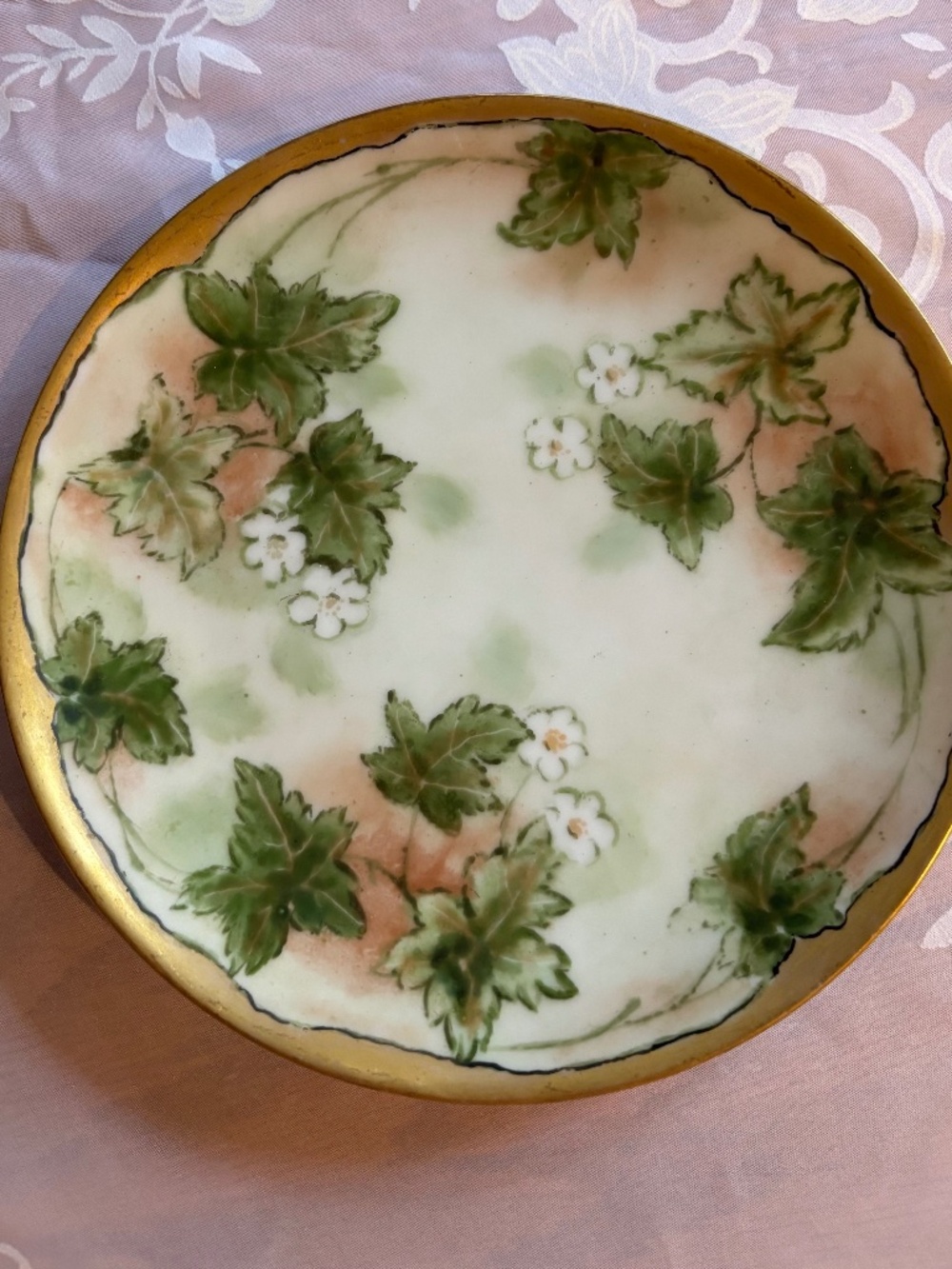 Vintage Thomas Sevres Bavaria Hand Painted Plate